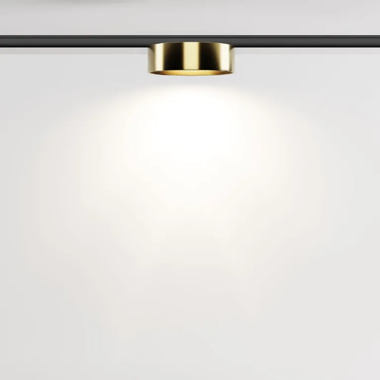Трековый магнитный светильник Maytoni Zon TR189-1-12W4K-BBS