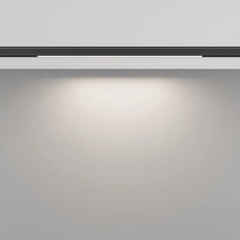 Трековый магнитный светильник Maytoni Basis TR190-1-5W4K-B