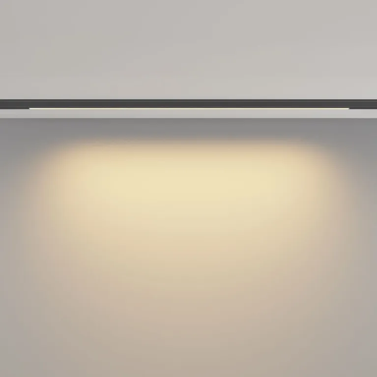 Трековый магнитный светильник Maytoni Basis TR190-1-10W2.7K-B