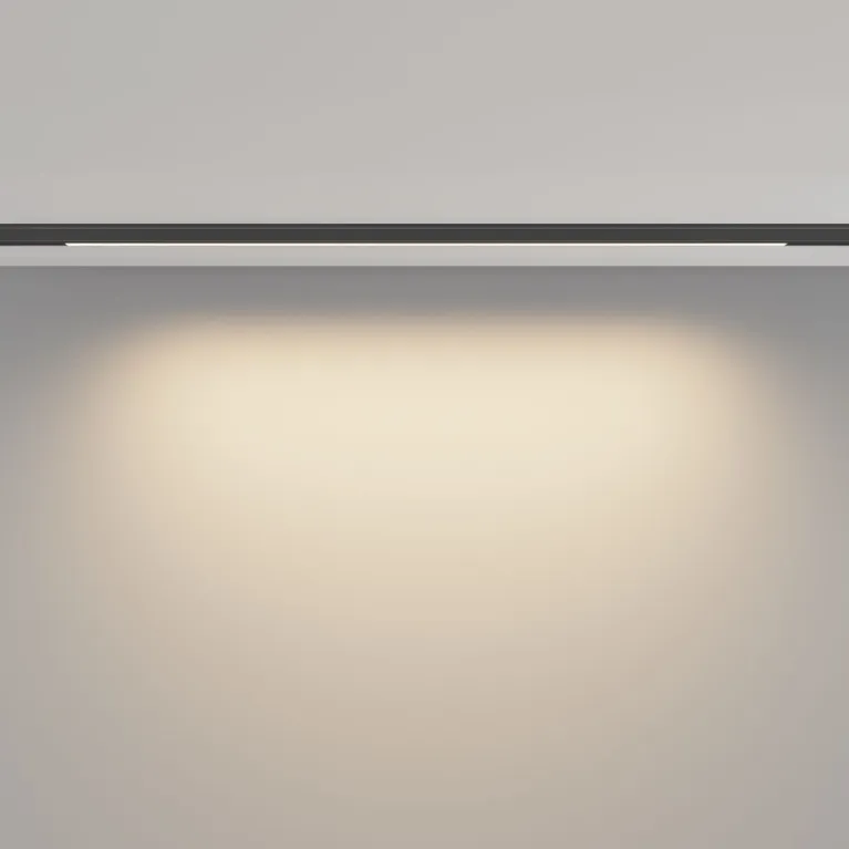 Трековый магнитный светильник Maytoni Basis TR190-1-10W3K-B