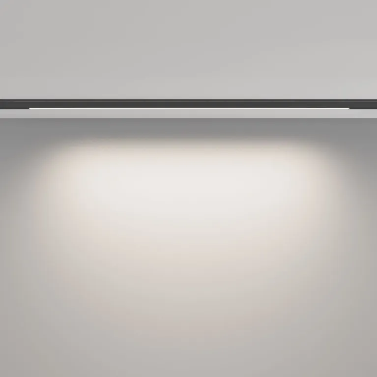 Трековый магнитный светильник Maytoni Basis TR190-1-10W4K-B