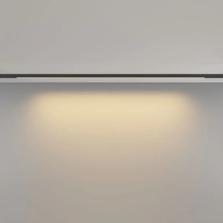 Трековый магнитный светильник Maytoni Basis TR190-1-15W2.7K-B