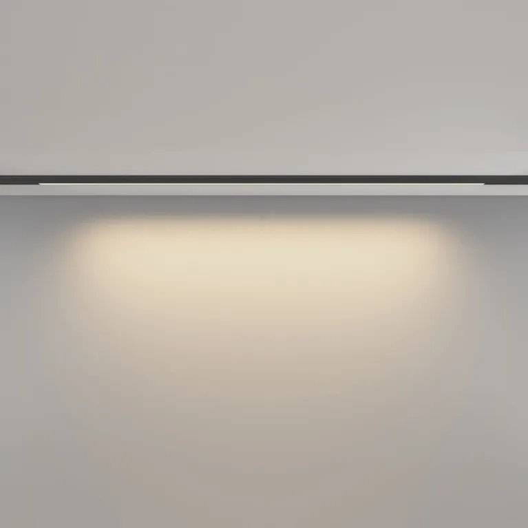 Трековый магнитный светильник Maytoni Basis TR190-1-15W3K-B
