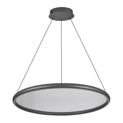 Подвесной светильник Lussole Custer LSP-7423