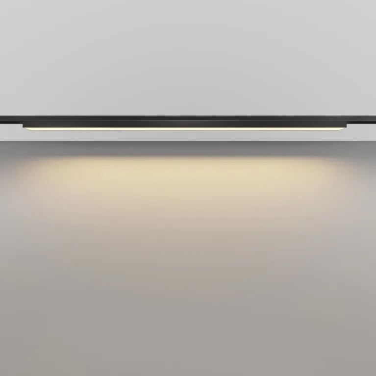 Трековый магнитный светильник Maytoni Basis TR192-1-21W2.7K-B