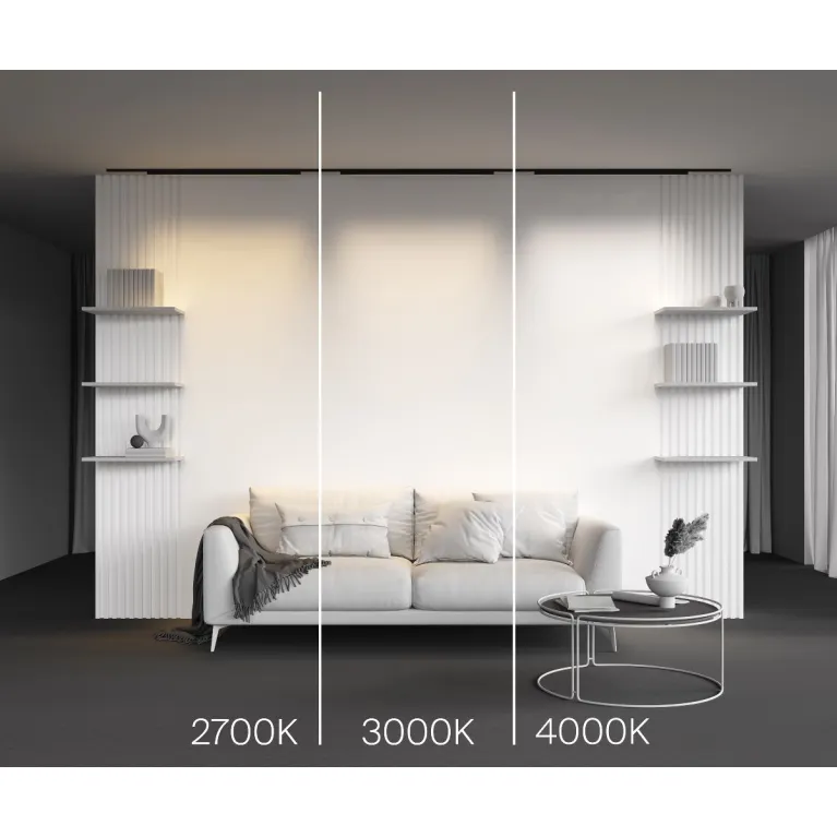Трековый магнитный светильник Maytoni Basis TR192-1-21W2.7K-B