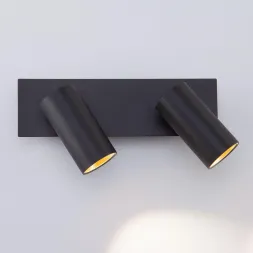 Настенный светильник Eurosvet 20066/2 черный/золото