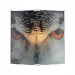 Настенный светильник Markslojd Owl 105242