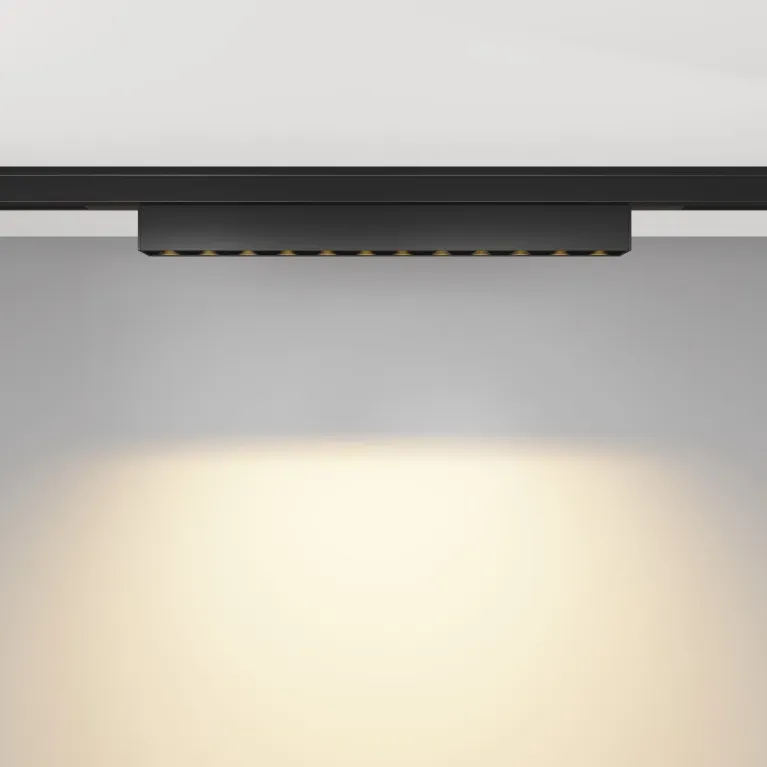 Трековый магнитный светильник Maytoni Points TR193-1-10W2.7K-M-B