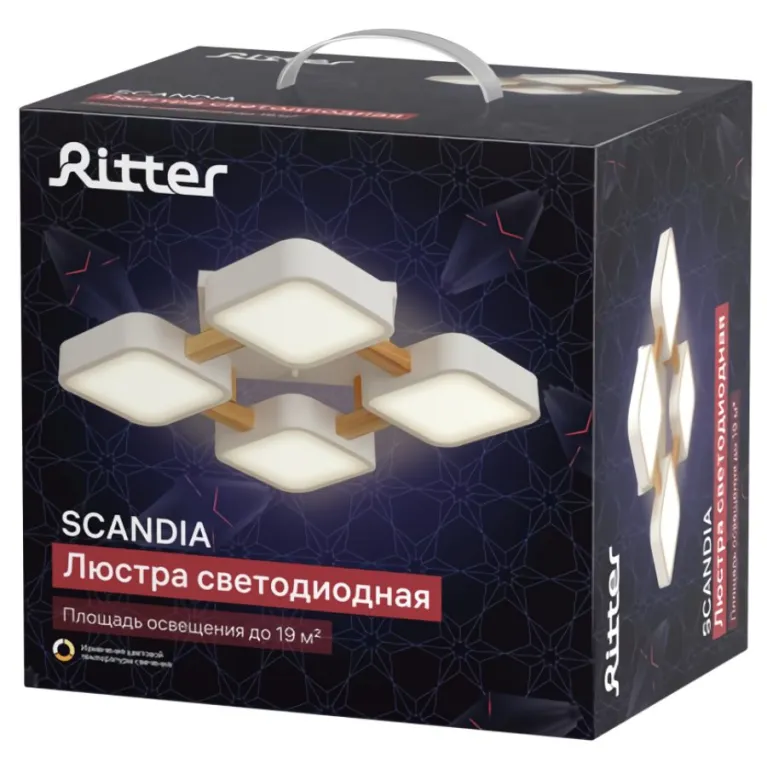 Потолочная люстра Ritter Scandia 52072 6