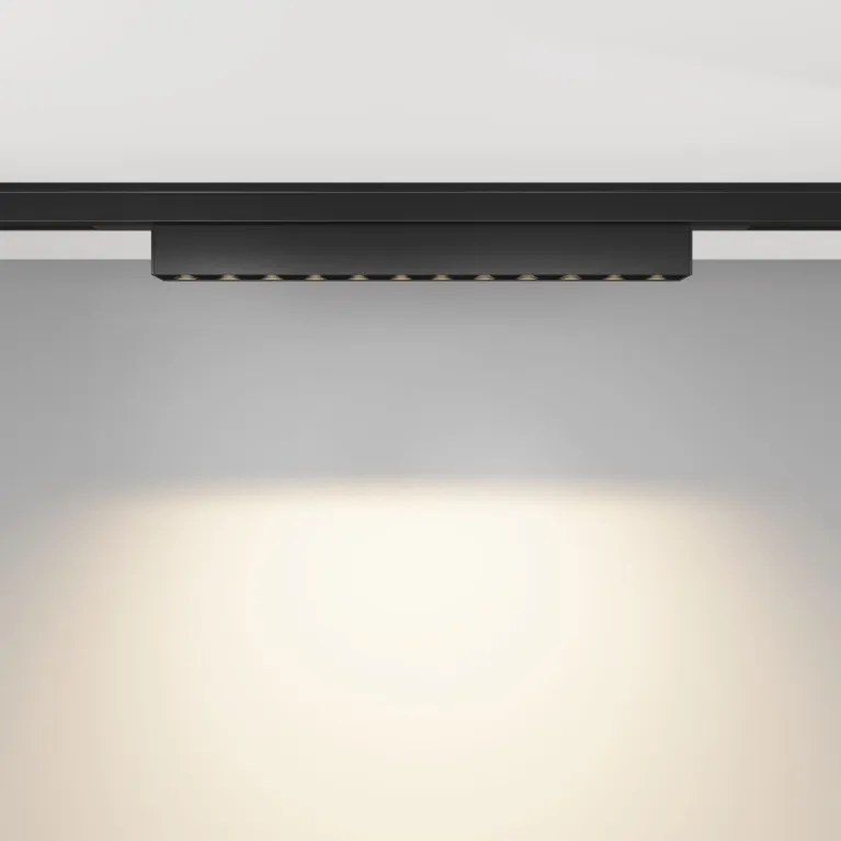 Трековый магнитный светильник Maytoni Points TR193-1-10W3K-M-B