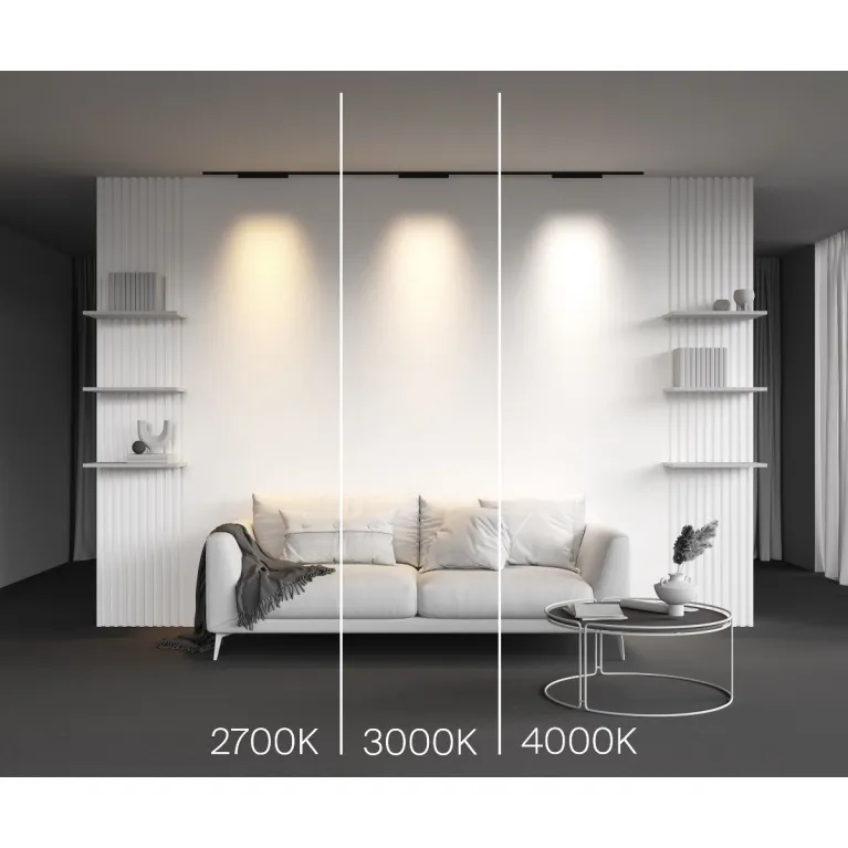 Трековый магнитный светильник Maytoni Points TR193-1-15W3K-M-B