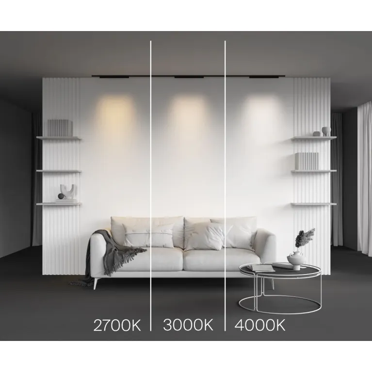 Трековый магнитный светильник Maytoni Points TR193-1-20W3K-M-B