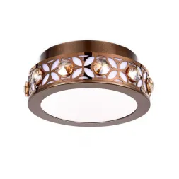 Потолочный светодиодный светильник Ambrella light Ice FA9422
