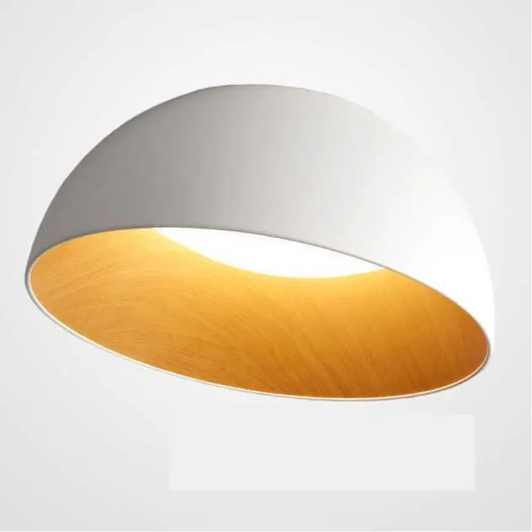 Потолочный светодиодный светильник Imperium Loft Bara 223999-23