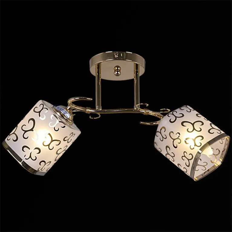 Потолочный светильник Reluce 05031-0.3-02B FGD