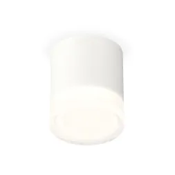 Потолочный светильник Ambrella Light Techno Spot XS7401043 (C7401, N7160)