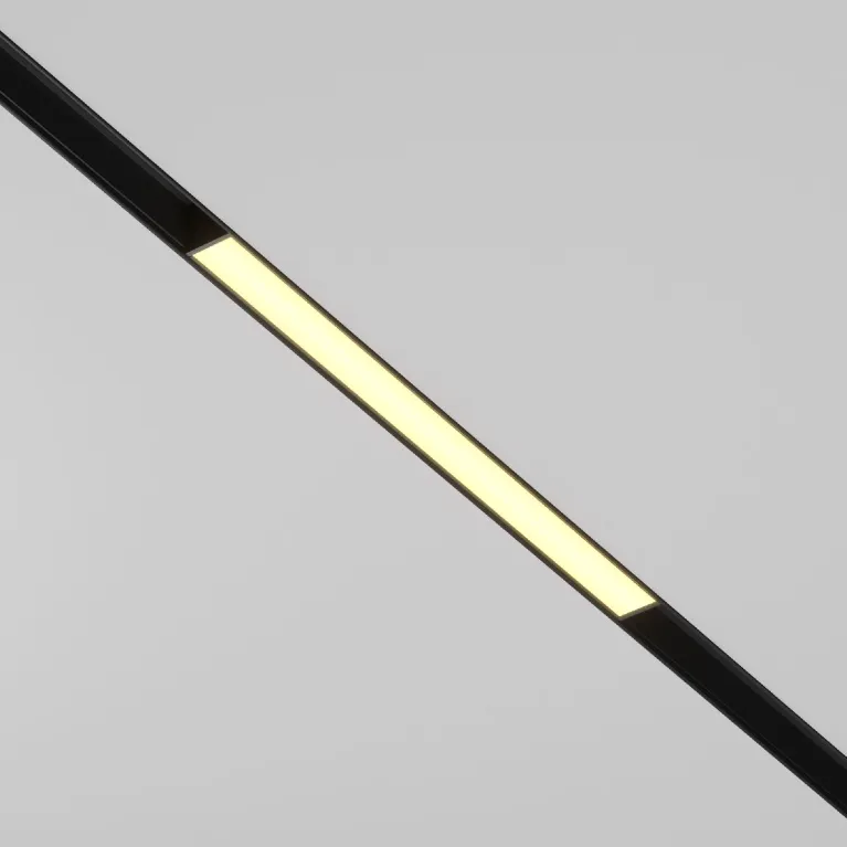 Трековый магнитный светильник Maytoni Basis TR030-2-12W2.7K-B