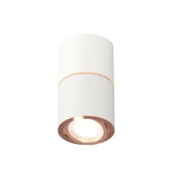 Потолочный светильник Ambrella Light Techno Spot XS7401220 (C7401, A2073, C7401, N7005)