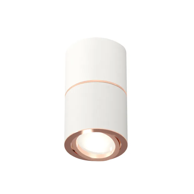 Потолочный светильник Ambrella Light Techno Spot XS7401220 (C7401, A2073, C7401, N7005)