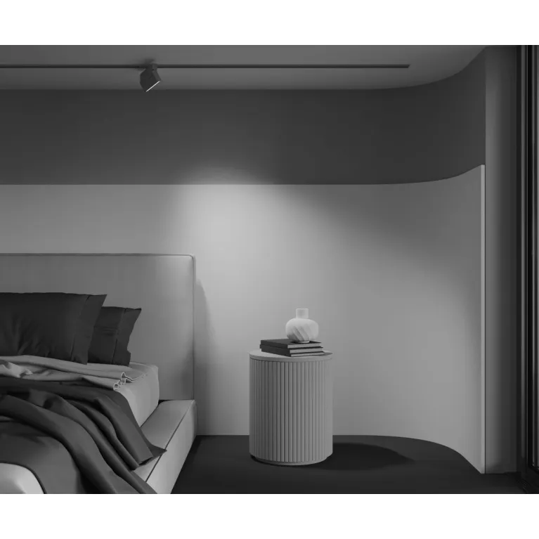 Трековый однофазный светильник Maytoni Points Rot TR224-1-12WCCT-M-W