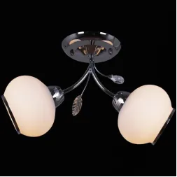 Потолочный светильник Reluce 12443-0.3-02