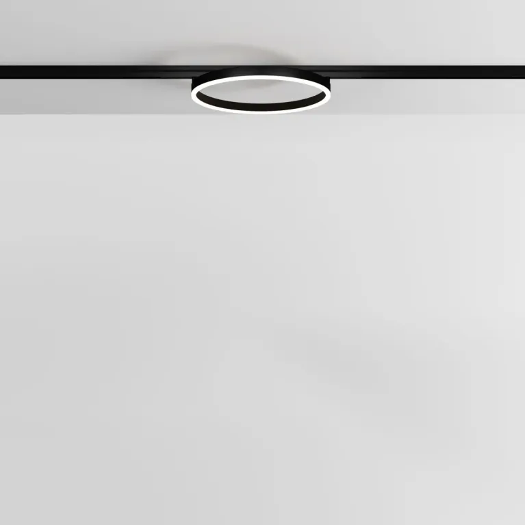 Трековый магнитный светильник Maytoni Rim TR227-2-24W3K-B