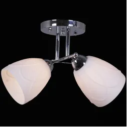 Потолочный светильник Reluce 12452-0.3-02