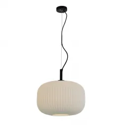 Подвесной светильник Favourite Rice Motif 2110-1P Подвесной светильник Favourite Rice Motif 2110-1P