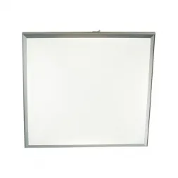 Потолочный светодиодный светильник Odeon Light Bernar 4624/48CL