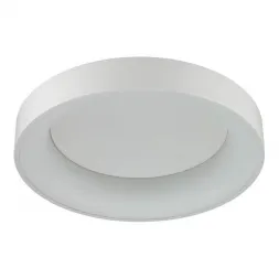 Потолочный светодиодный светильник Odeon Light Sole 4062/40CL