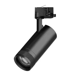 Трековый трехфазный светильник Quattro 20-55G с адаптером Lightstar Canno Pro C4207QT