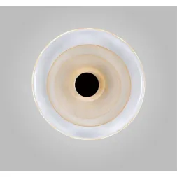 Настенный светильник Aployt Stusia APL.350.01.03