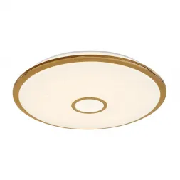Потолочный светодиодный светильник Citilux СтарЛайт CL703102R