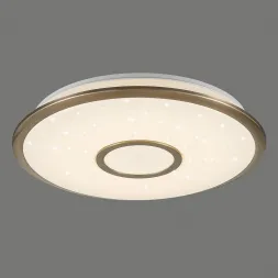 Потолочный светодиодный светильник Citilux СтарЛайт CL70343R