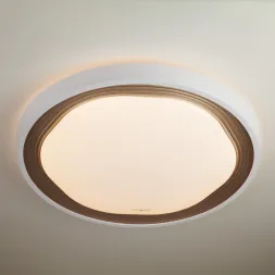 Накладной светильник Eurosvet 40006/1 LED кофе