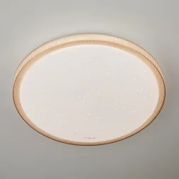 Потолочный светодиодный светильник Eurosvet Sandy 40014/1 LED кофе