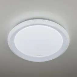 Потолочный светодиодный светильник Eurosvet 40013/1 LED белый