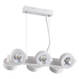 Светодиодный спот Odeon Light Pumavi 3493/60L