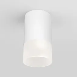 Уличный светодиодный светильник Elektrostandard Light Led 35139/H белый 4690389177927