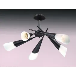 Потолочная люстра Odeon Light Evans 2464/5C