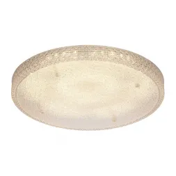 Потолочный светодиодный светильник Silver Light New Retro 840.60.7