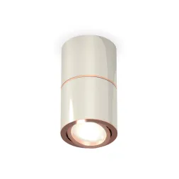 Потолочный светильник Ambrella Light Techno Spot XS7405080 (C7405, A2072, C7405, N7195)