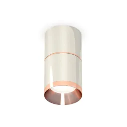 Потолочный светильник Ambrella Light Techno Spot XS7405081 (C7405, A2073, C7405, N7035)