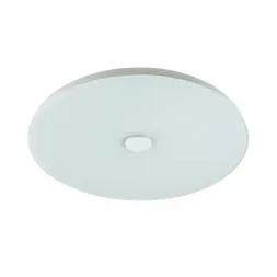 Потолочный светодиодный светильник Sonex Roki Muzcolor 4629/EL