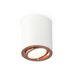 Потолочный светильник Ambrella Light Techno Spot XS7421004 (C7421, N7005)