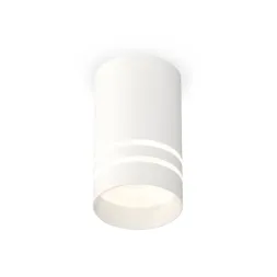Потолочный светильник Ambrella Light Techno Spot XS7421022 (C7421, N7141)