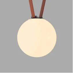 Трековый однофазный светильник Denkirs Belty Orb DK5555-BK Трековый однофазный светильник Denkirs Belty Orb DK5555-BK