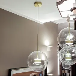 Подвесной светильник L Arte Luce L45501