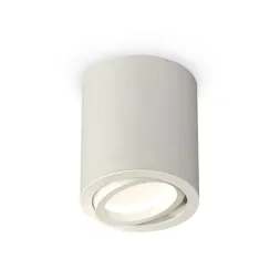 Потолочный светильник Ambrella Light Techno Spot XS7423020 (C7423, N7001)